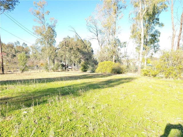 23699 Mclane Ave, Corning, CA 96021 - view of yard
