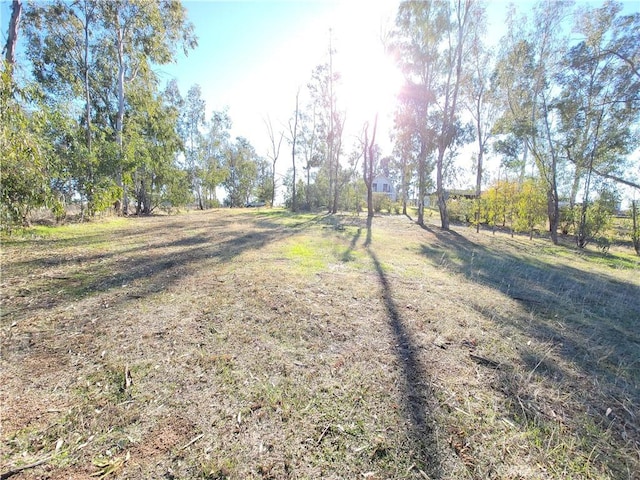 23699 Mclane Ave, Corning, CA 96021 - view of street