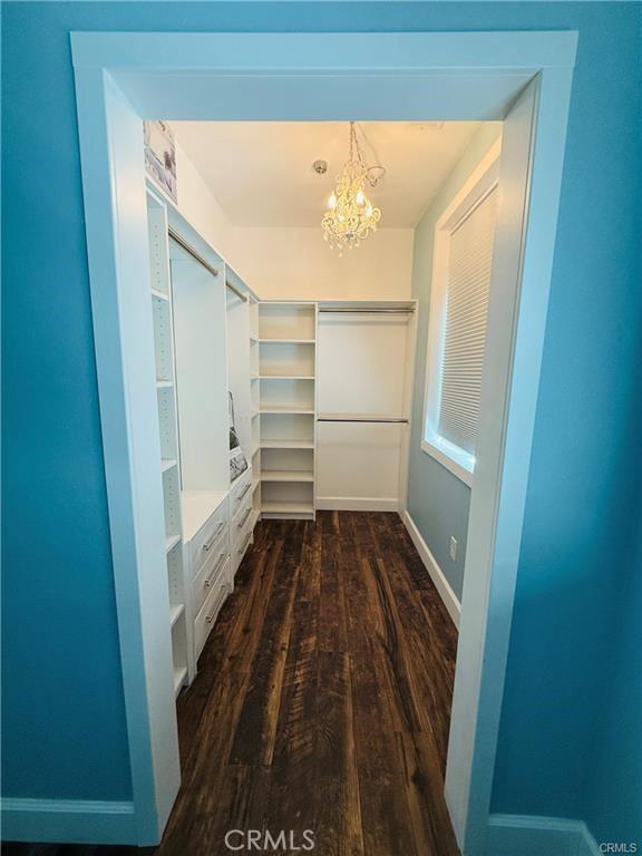 spacious closet with dark hardwood / wood-style flooring and an inviting chandelier