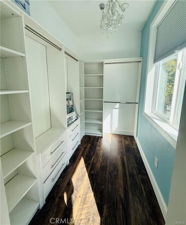 walk in closet with dark hardwood / wood-style flooring and an inviting chandelier