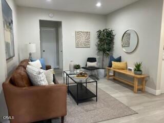 living room featuring light hardwood / wood-style flooring