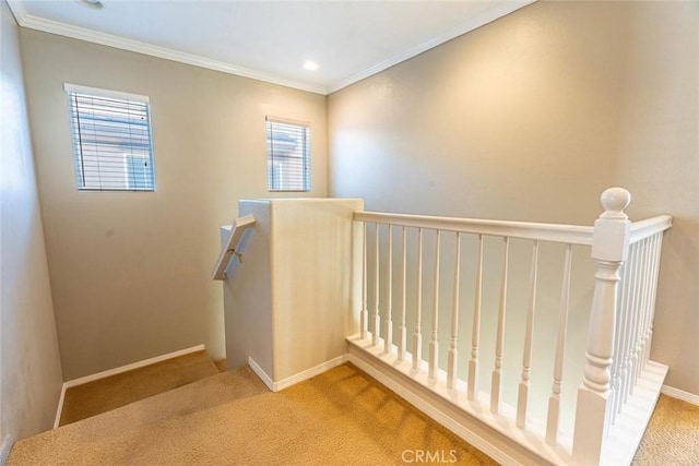 stairway with crown molding and carpet