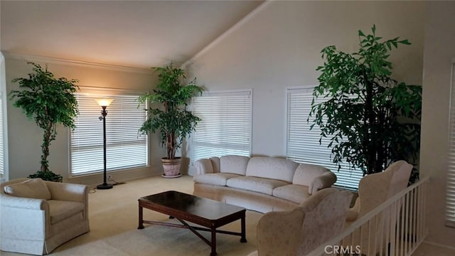 carpeted living room featuring high vaulted ceiling and crown molding