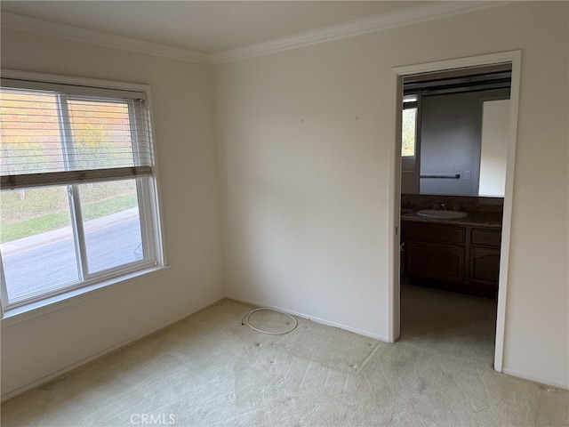 carpeted empty room with plenty of natural light, crown molding, and sink