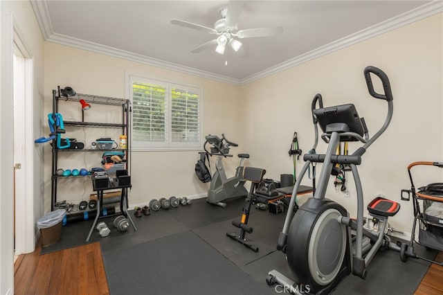 exercise area with ceiling fan and ornamental molding