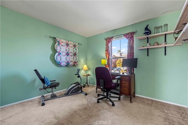 home office with carpet floors