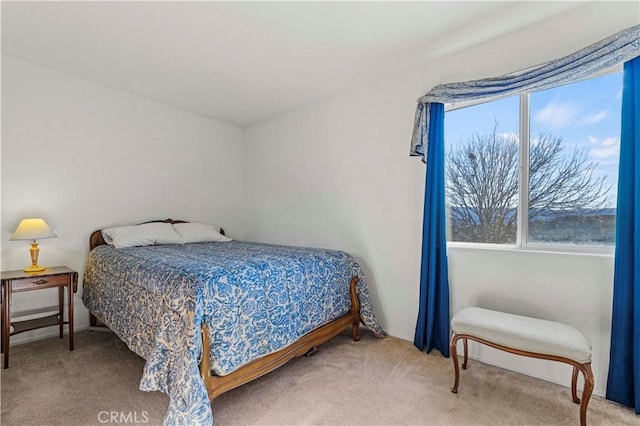 bedroom with carpet flooring