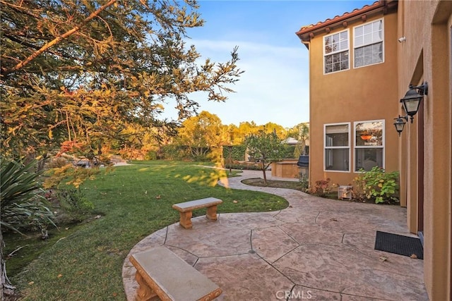 view of yard with a hot tub and a patio area