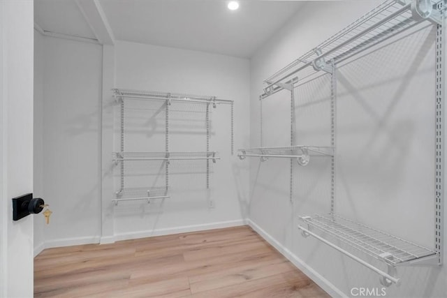 spacious closet featuring hardwood / wood-style floors