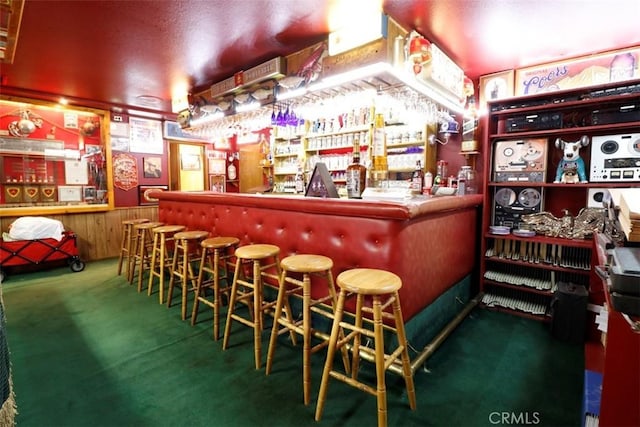 bar with carpet flooring