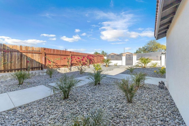 view of yard featuring a patio and a storage unit