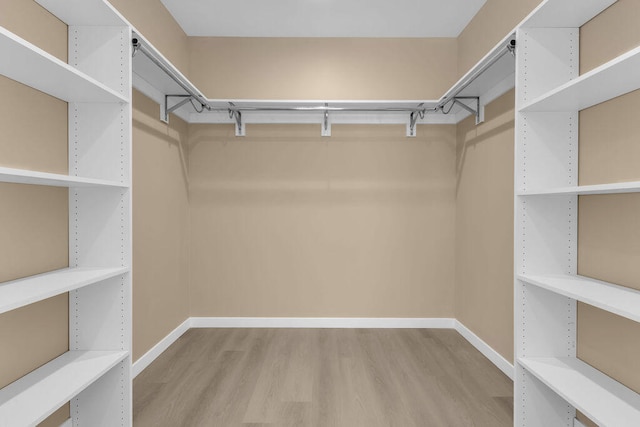 spacious closet featuring light hardwood / wood-style flooring