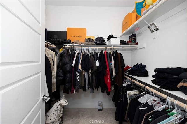 spacious closet featuring carpet floors