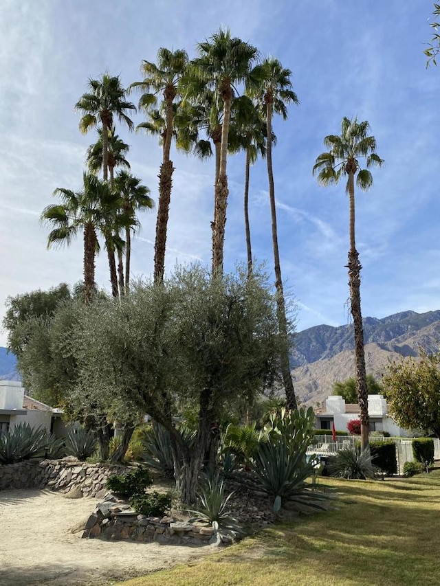 exterior space featuring a mountain view and a yard