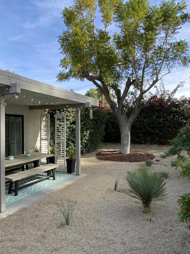 view of yard with a patio