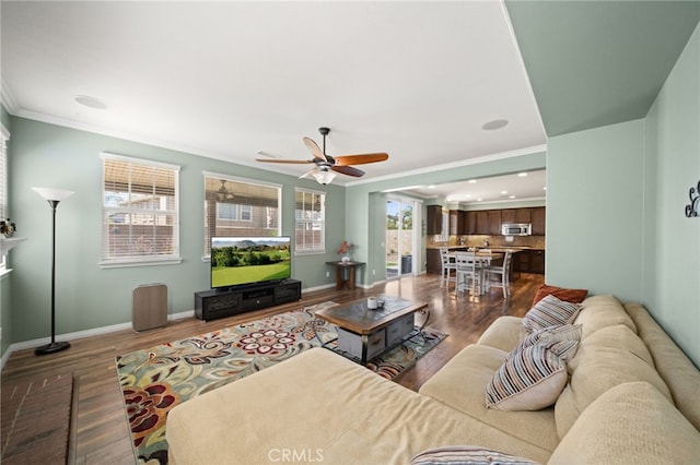 living room with ceiling fan, dark hardwood / wood-style floors, and ornamental molding