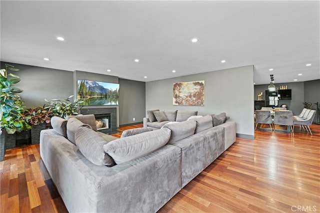 living room with light hardwood / wood-style floors