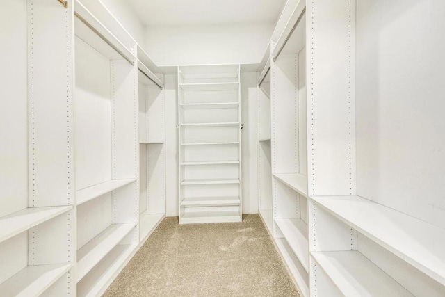 walk in closet featuring light carpet