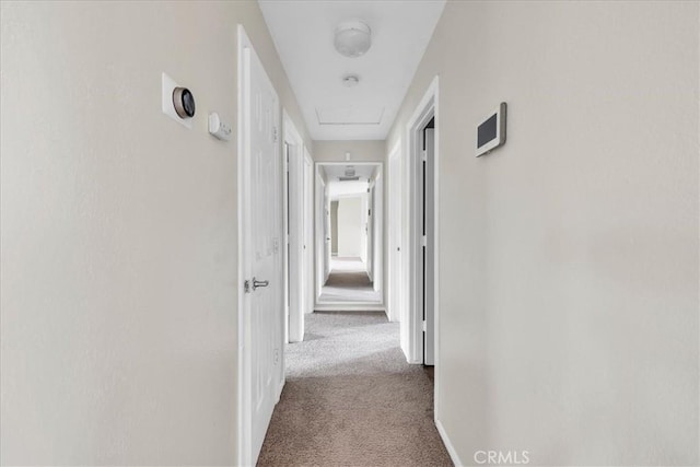 corridor featuring carpet floors