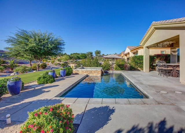 view of swimming pool with a patio area