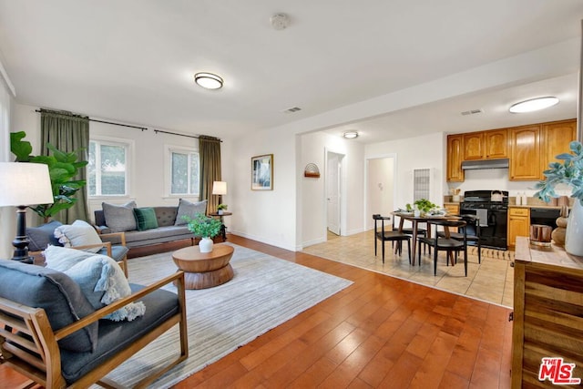 living room featuring light hardwood / wood-style floors