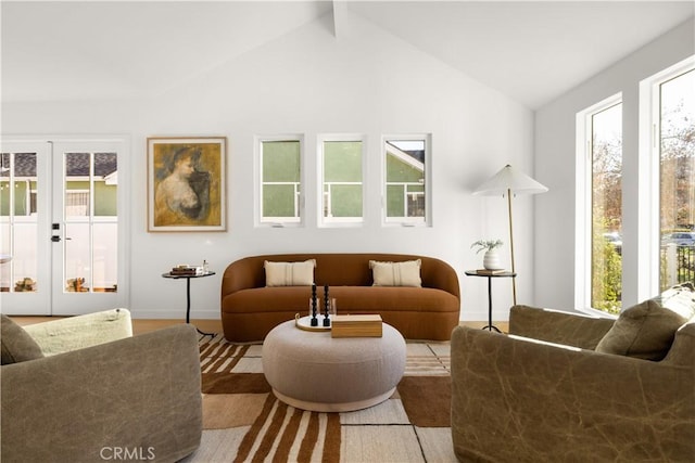 interior space with light wood-type flooring, a wealth of natural light, and french doors