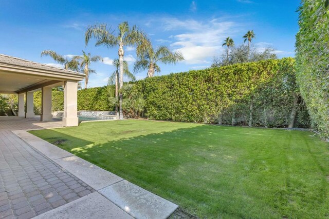 view of yard with a patio