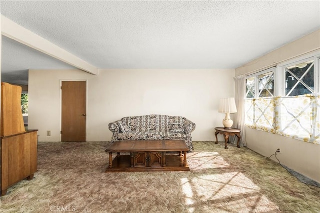 living area featuring a textured ceiling, light carpet, and a wealth of natural light