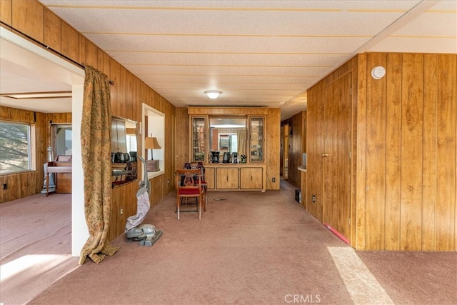 interior space featuring wood walls