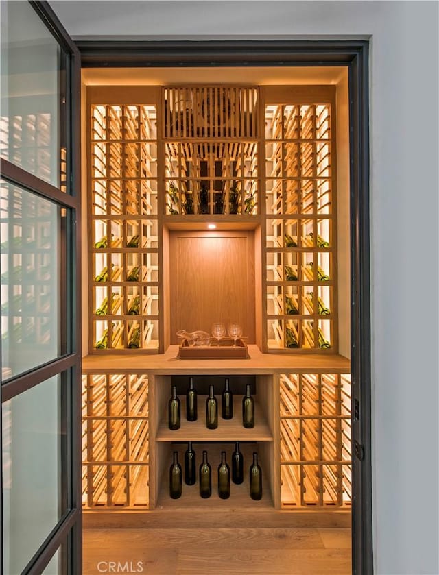 wine cellar with hardwood / wood-style flooring