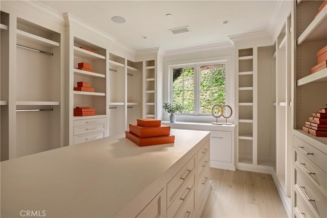 walk in closet with light hardwood / wood-style flooring