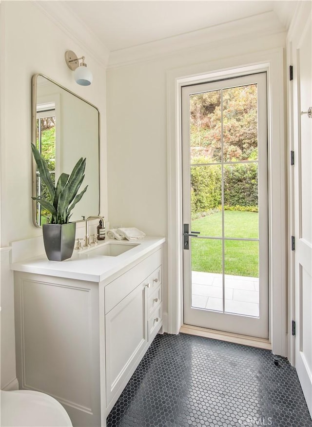 doorway to outside with dark tile patterned flooring, a healthy amount of sunlight, ornamental molding, and sink