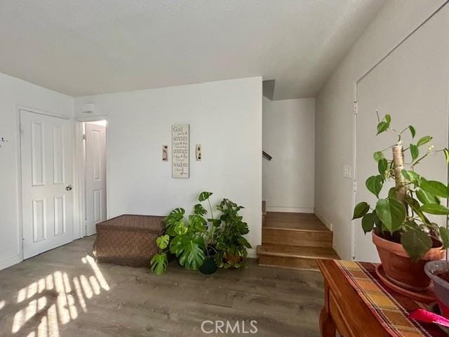 interior space with hardwood / wood-style floors