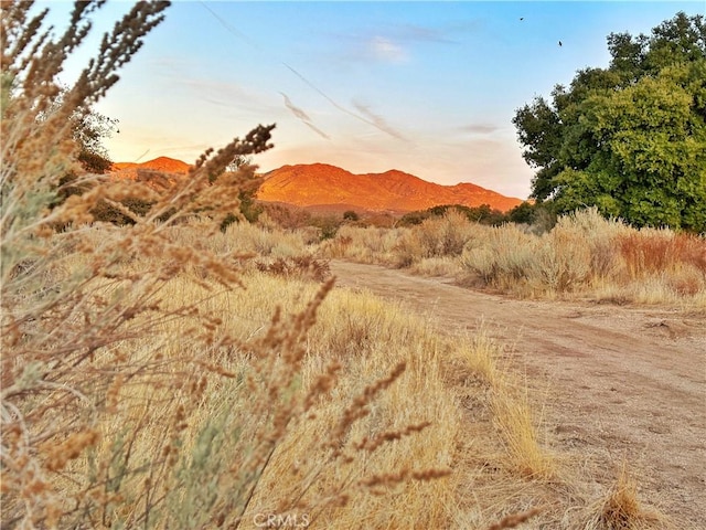 30415 Chihuahua Valley Rd, Warner Springs, CA 92086 - view of mountain feature