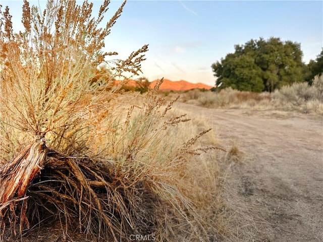 30415 Chihuahua Valley Rd, Warner Springs, CA 92086 - view of local wilderness