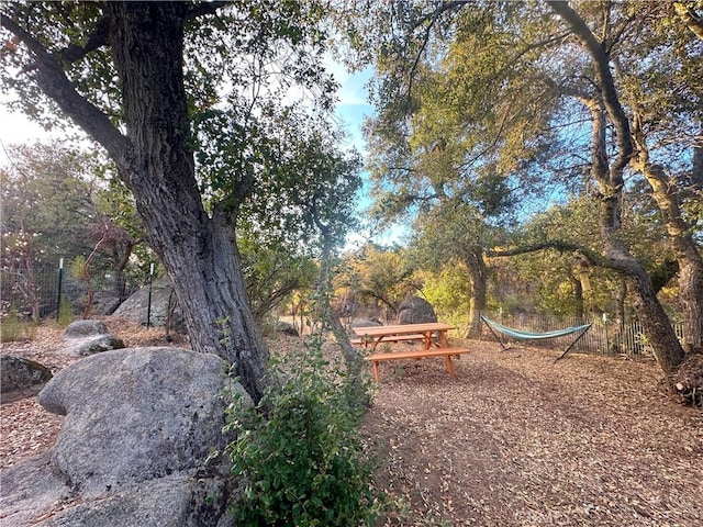 30415 Chihuahua Valley Rd, Warner Springs, CA 92086 - view of yard