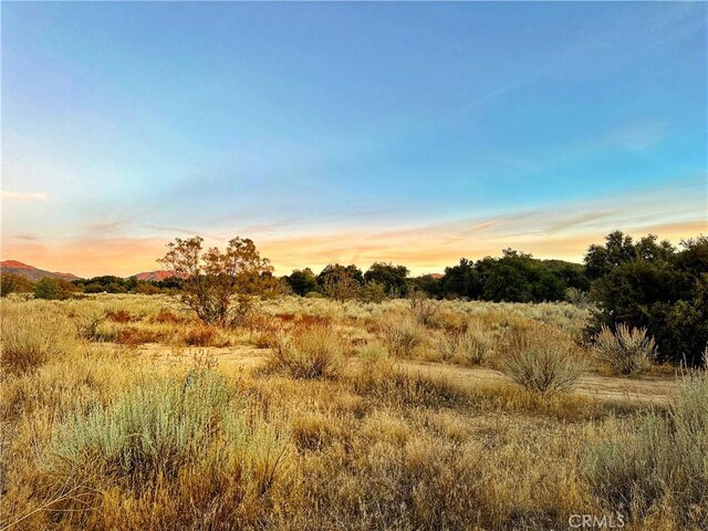 view of nature at dusk