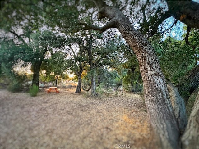 30415 Chihuahua Valley Rd, Warner Springs, CA 92086 - view of landscape