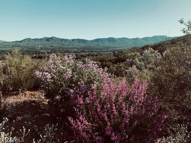 30415 Chihuahua Valley Rd, Warner Springs, CA 92086 - property view of mountains featuring a wooded view
