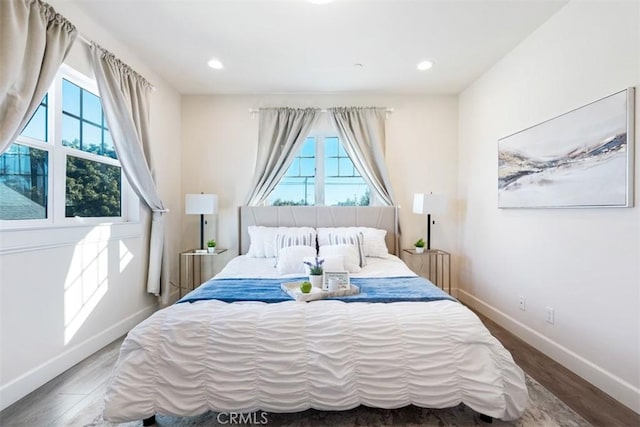 bedroom featuring multiple windows and wood-type flooring