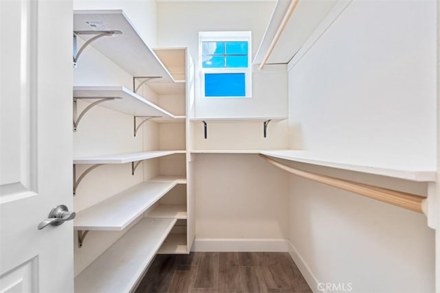 spacious closet with dark hardwood / wood-style flooring