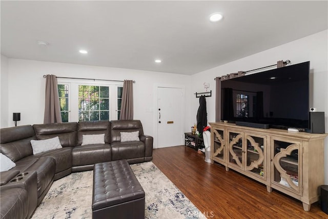 living room featuring dark wood-type flooring