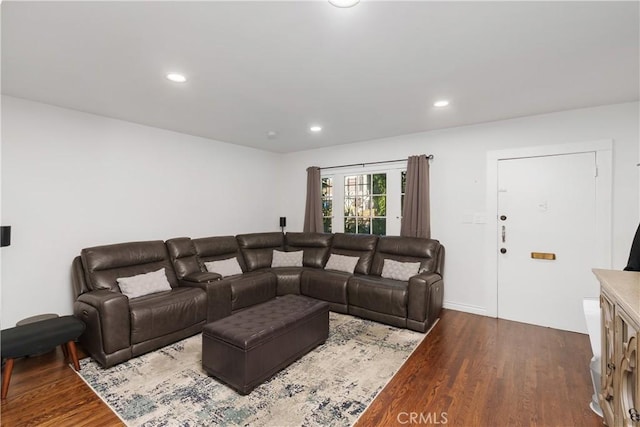 living room featuring a fireplace and hardwood / wood-style floors