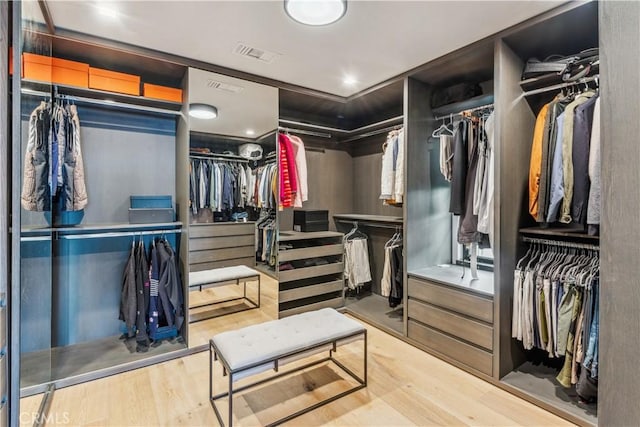 walk in closet featuring hardwood / wood-style flooring