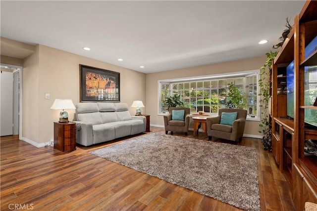 living room featuring hardwood / wood-style floors