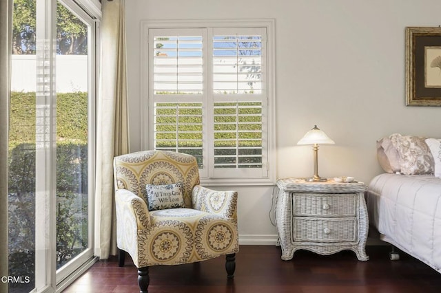 sitting room featuring dark hardwood / wood-style flooring