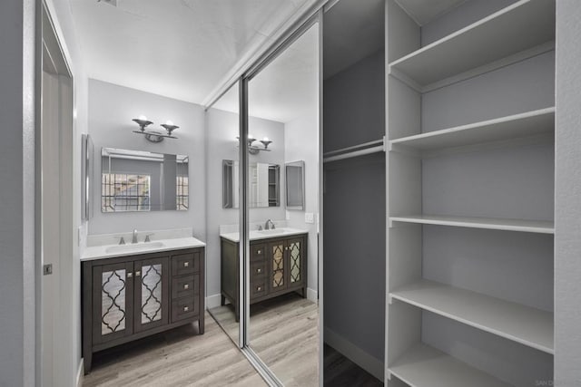 bathroom featuring vanity and wood-type flooring