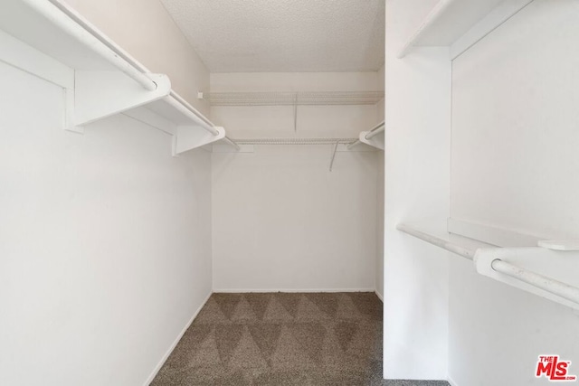 walk in closet with dark colored carpet