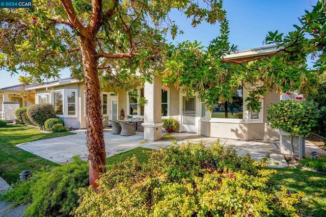 rear view of house featuring a lawn and a patio area