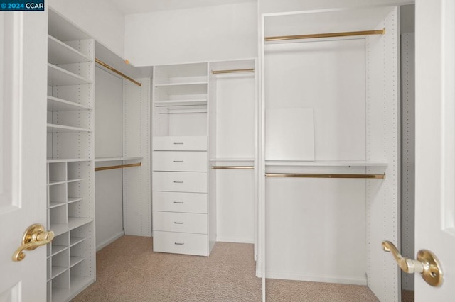 walk in closet with light carpet